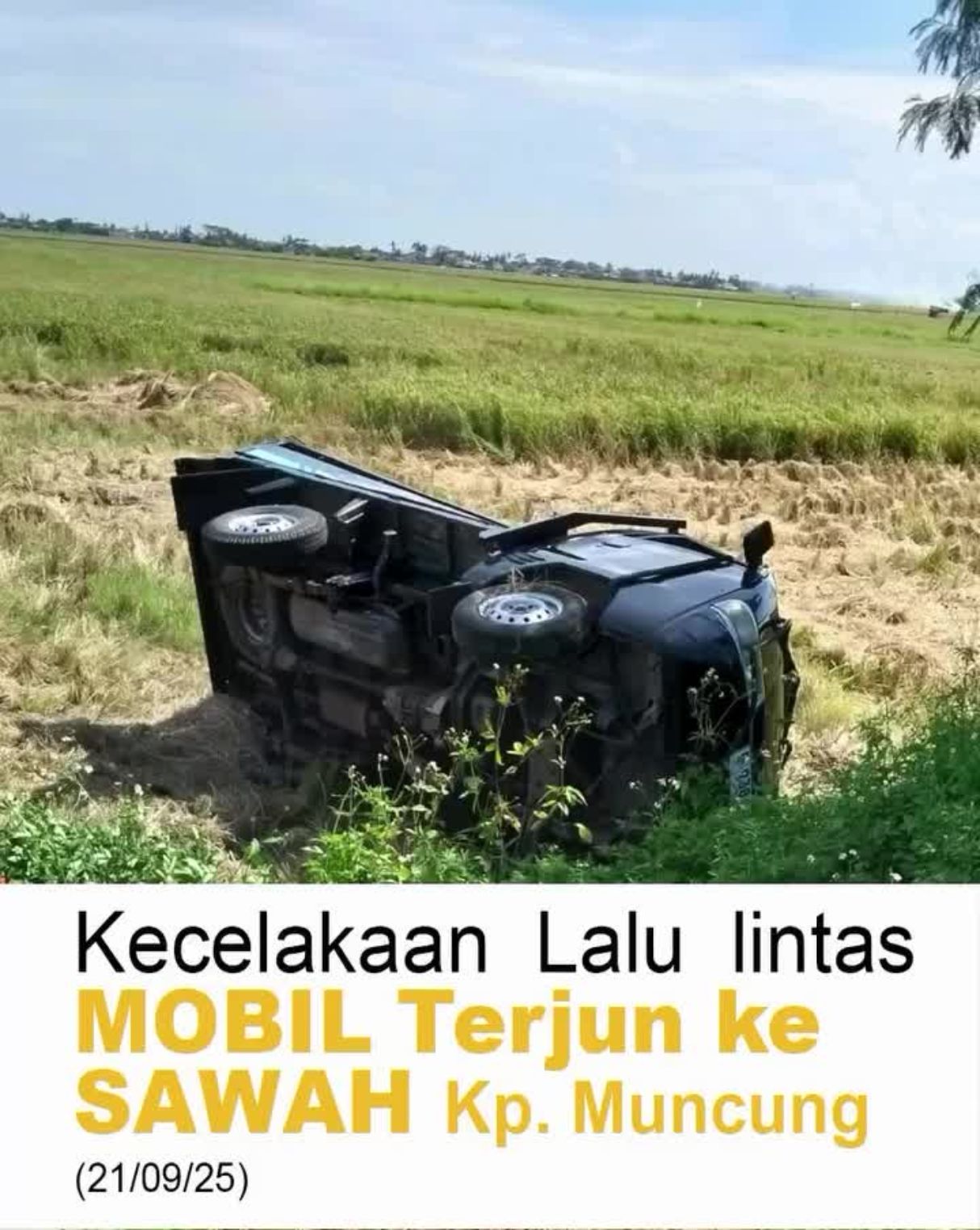 Mobil Pickup Rombongan Peziarah Terguling di Persawahan Desa Muncung, Satu Orang Meninggal Dunia