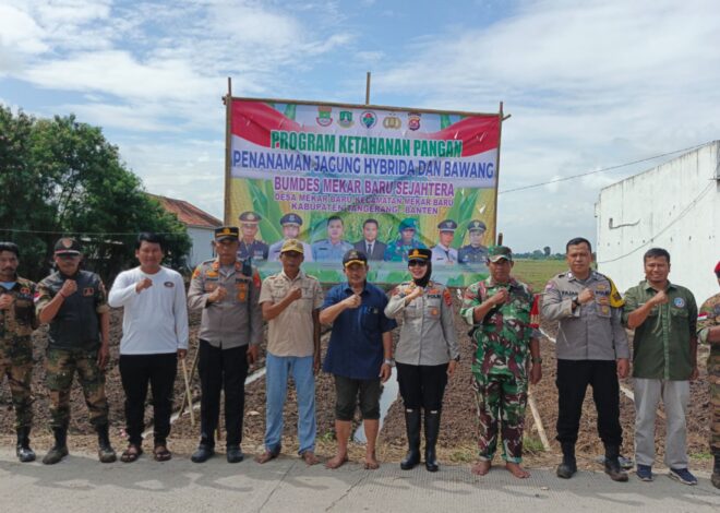 Manfaatkan Lahan Produktif, BUMDesa Mekar Jaya Sejahtera Tanam Jagung dan Bawang